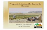 Programa de Vacunación Caprina de Mendoza · Existencia de ganado caprino en Argentina PROVINCIAS CABEZAS Buenos Aires 7,665 Catamarca 190,553 Chaco 236,092 Chubut 102,880 Córdoba