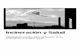 Incineración y Salud - saludsindanio.org · Adaptación maqueta: Jose A. Calvo Informe de Greenpeace Internacinal ... 4.2.2 Leche de Vaca 5. ... A pesar de que la tecnología de