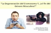 “La Degeneración del Cromosoma Y, ¿el fin del Género ...wpd.ugr.es/~rnavajas/wp-content/uploads/2017/03/fin_masculino.pdf · Origen híbrido de la mayor parte de especies ...