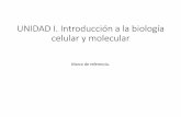 UNIDAD I. Introducción a la biología celular y molecularpeces.ens.uabc.mx/bcym/clases/pdf/I-a-introduccion.pdf · de esta sustancia en diferentes especies. ... receptora y se replica