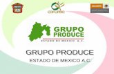 GRUPO PRODUCE Estado México.pdf · CEREALES Liberación de variedades con mayor rendimiento (12 al 17%) CEBADA: Doña Josefa (primera variedad liberada para la industria cervecera)