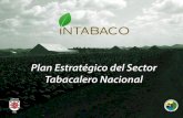 República Dominicana - Instituto del Tabaco (Intabaco) .pdf · Estratégico y al Fondo Patrimonial de las Empresas ... - Reconocimiento del cigarro como producto estrella ... - Importancia