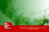 Micología médica básica, 5ª. Ed. - Novellanovella.mhhe.com/sites/dl/free/000001404x/1069681/Bonifaz_P03_14.pdf · Bonifaz | Capítulo 14. Micetoma Micología médica básica,