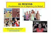 EL MUSCULO - fedomede.comfedomede.com/wp-content/uploads/2018/05/Conferencia-Musculo-2018.pdf · más bajos de BDNF en pacientes obesos y con diabetes tipo 2 (Krabbe et al., 2007),