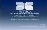 SUBSECRETARÍA DE EGRESOS MANUAL DE …pbr.puebla.gob.mx/attachments/article/91/MANUAL DE PROGRAMACION... · Elaboración de la Matriz de Indicadores para Resultados (MIR) 70 Resumen