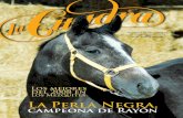 Los Mezquites La Perla Negra, - Gustavo Ybarra – MARKETING … CUADRA Ed5 SCREEN.pdf · 2012-07-11 · y El Machorrito, de la Cuadra JM. La yegua se impuso a los dos caballos y