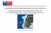 Informe Técnico (R. Pesq.) N° 96 - 2013 · mes de agosto en ,la zona marítima de los cañones submarinos que cruzan transversalmente el fondos marino de la plataforma continental