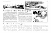 Puerto de Pedregal E - bdigital.binal.ac.pabdigital.binal.ac.pa/bdp/descarga.php?f=Puertos Panama3.pdf · El muelle es de tipo marginal y existen medios de acceso por carreteras.