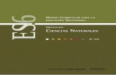 ORIENTACIÓN CIENCIAS NATURALES - sadlobos.com · Ciclo Superior y en esta Orientación en especial. Se trata de un enfoque de las ciencias y su enseñanza a partir de la Alfabetización