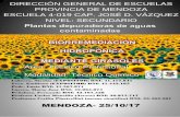 DIRECCIÓN GENERAL DE ESCUELAS - inet.edu.ar · Se denomina biorremediación a cualquier proceso de recuperación medioambiental producido por el uso de microorganismos, hongos, plantas
