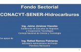 Fondo Sectorial CONACYT-SENER-Hidrocarburos · plataforma tecnolÓgica: recuperaciÓn mejorada. investigaciÓn. aplicada. desarrollo. tecnolÓgico. asimilaciÓn/ validaciÓn . tecnolÓgica.