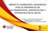 IMPACTO AMBIENTAL GENERADO POR LA PRESENCIA DE .... Miercoles/Punta Gaira... · Poca solubilidad en agua. 20g/L en etanol. Kow> 6, naturaleza polar y lipofílica. ... La Toxicidad