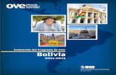 BID - publications.iadb.org · de Evo Morales a la presidencia en 2006 marcaron un proceso de redefinición del rol del estado boliviano, enmarcado en la Nueva Constitución Política