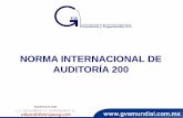 NORMA INTERNACIONAL DE AUDITORÍA 200 - …clubvirtual.gvaweb.com/admin/curricula/material/4_200_06_01_2015... · Aplicación y otros documentos explicativos 3 CONTENIDO . ... importantes,