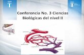 Conferencia No. 3 Ciencias Biológicas del nivel IIentrenadormovil.cog.org.gt/sites/default/files/documentos/academia... · carbono ( glucógeno ) : el entrenamiento de resistencia