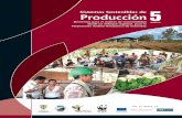 Elementos para el análisis de sostenibilidadawsassets.panda.org/downloads/m_5_produccion_aprobado_final_web.pdf · Elementos para el análisis de sostenibilidad ... Teatro Mama Juana