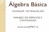Álgebra Básica - Zona EMEC Conalep 150 | Educación ... · Expresión algebraica y sus partes Una expresión algebraica es una ... algebraicos o monomios, dentro de una expresión