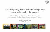 Estrategias y medidas de mitigación asociadas a los bosques · sustitución de otros materiales Manejo Forestal Sostenible Materiales de construcción y otros. ... Guatemala, Guyana,