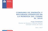 CONSUMO DE ENERGÍA Y RECURSOS HÍDRICOS EN LA … · combustibles, consolidando la tendencia alcista en consumos unitarios de ésta energía por tonelada de minera tratado. ... costos