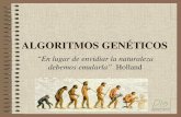 ALGORITMOS GENÉTICOS - Presentación - Universidad de …dis.um.es/~domingo/apuntes/AlgProPar/0607/AlgoritmosGeneticos.pdf · valor aleatorio a cada uno de los genes b ij 0, con