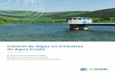 Control de Algas en Embalses de Agua Cruda · Se pueden usar ondas ultrasónicas específicas basadas en datos de calidad de agua en tiempo real para controlar las algas en embalses