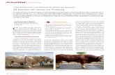 El bovino de carne en Francia - mapama.gob.es · En 2008, nacieron 97 terneros (los partos se concentran en diciembre) habiendo sido destetados, a los 8–10 meses, 91 animales. A