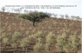 TRABAJOS PARA LA CONSERVACIÓN Y DESARROLLO …extremambiente.juntaex.es/files/forestal/obras/09N1012FR166_opt.pdf · vigente de incendios forestales en Extremadura: PLAN PREIFEX