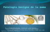 Patología benigna de la mama - Hasteld's Blog | Just another … · PPT file · Web view2010-06-28 · Patología benigna de la mama. Dr. J. Fernando Pérez Martínez. Cirujano