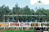 ExportacionEs ForEstalEs - Wood Export Chilewoodexportchile.com/wp/wp-content/uploads/pacific-forest-es.pdf · sobresaliente al cliente desarrollando ... Permite cualquier defecto