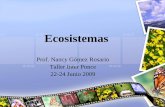Ecosistemas - BLOG DEL PROFESOR DE BIOLOGÍA · Taller Inter Ponce 22-24 Junio 2009 ... Ecosistema • Cualquier área en la que se transfiere ENERGÍA cuando ... un FLUJO constante