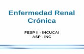 Enfermedad Renal Crónica · 2014-01-08 · Promover acciones de Prevención primaria y ... • Detección precoz de la ERC para su población objetivo ... –Definición de estrategias