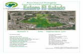 Área Natural Protegida Zona de Conservación Ecológica JULIO... · Vela ... Subdirección de Medio Ambiente y Ecología y del Centro Internacional de ... aportada por la hojarasca