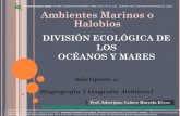Ambientes Marinos o Halobios - Facultad de Humanidades-UNNEhum.unne.edu.ar/revistas/geoweb/Geo16/archivos/canete011.pdf · Las algas son reemplazadas por plantas superiores como las