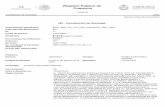 Registro Público de Comercio · 2018-01-29 · Registro Público de Comercio Veracruz Constitución de Sociedad 100I1 Número Único de Documento Apellido paterno / Denominación