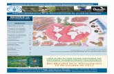 Boletín informativo de la representación de la FAO en ... · para sistema pesquero - Proyecto para preve-nir la desertificación 6 3 ... Para el experto el desafío que tiene Uruguay
