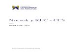 Norsok y RUC - CCS - cua.campusiep.comcua.campusiep.com/recursos/scorm/hseq/mod3-clase2/data/pdfs/anexo1.pdf · Correspondencia entre DUC® y Norsok S -006:2003 .....40 . Objetivo