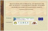 Expediente: 08N1012FD095 Promotor: Contratistaextremambiente.juntaex.es/files/forestal/obras/08N1012FD095_opt.pdf · Trabajos Previos. Ubicación: - Dehesa de Alburquerque -Sierra