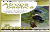Varios autores El Tabaco gordo (Atropa baetica) en ...sociedadgaditanahistorianatural.com/wp-content/uploads/2017/04/el... · en Andalucía, atendiendo a su baja densidad, su restringida