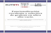 Funcionalización covalente y selectiva de grafeno en ...digital.csic.es/bitstream/10261/162931/1/tesis_RebecaAceitunoBueno.pdf · Funcionalización covalente y selectiva de grafeno