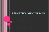 Presentación de PowerPoint · 2016-08-09 · Clásica o Mendeliana: Se basa en las leyes de Mendel para predecir la herencia de ciertos caracteres o enfermedades.