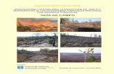 GUÍA DE CAMPO - CSIC: INSTITUTO DE INVESTIGACIONES AGROBIOLÓGICAS DE GALICIA - CONSEJO SUPERIOR DE … · • Descripción de los lugares de la visita: 1. Cooperativa Monte Cabalar