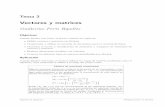 Vectores y matrices - repositori.uji.esrepositori.uji.es/xmlui/bitstream/10234/5953/1/2_VectoresMatrices.pdf · Tema 2 Vectores y matrices Guillermo Peris Ripoll´es Objetivos Cuando