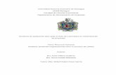 Universidad Nacional Autónoma de Nicaragua UNAN-Managuarepositorio.unan.edu.ni/7830/1/18329.pdf · desarrollo organizacional donde mencionaremos modelos, teorías del cambio, teoría