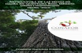 Silvicultura de las selvas de - gob.mx · Silvicultura de las selvas de caoba en Quintana Roo, México5 Prefacio Siendo la silvicultura el arte, ciencia y práctica de controlar la