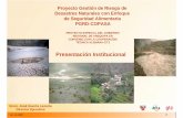 Presentación Institucional COPASA-12-11-07 · alta de la Provincia de Arequipa. Distritos: Cerro Colorado ... nalización a nivel distrital Eje 1.3 Integración de GdR a ... con