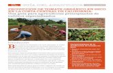 PRODUCCIÓN DE TOMATE ORGÁNICO EN SECO EN LA …as-de-agricultor/pdf... · PRODUCCIÓN DE TOMATE ORGÁNICO EN SECO EN LA COSTA CENTRAL DE CALIFORNIA: ... preparación del suelo,