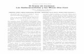 El Grano de Incienso: Los Sedevacantistas y las Misas Una Cumddata.over-blog.com/0/46/19/78/integrismo/SedesUnaCum... · 2013-07-27 · celebrar Misa según el misal de 1962. ...