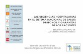 Germán Lloret Ferrándiz Sección Urgencias Pediatría HGUA · 3.3.2 Instrucciones previas (Voluntades anticipadas) 3.3.3 Información clínica 3.4 SEGURIDAD DE LOS PACIENTES. 4