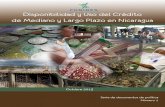Disponibilidad y Uso del Crédito de Mediano y Largo Plazo ...funides.com/media/...credito_de_mediano_y_largo_plazo_en_nicaragua.pdf · formas alternativas de garantía a las hipotecas;