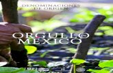 · presentar este libro, Denominaciones de origen, ... Si yo busco un mango Ataúlfo del Soconusco Chiapas es por su sabor único, su consistencia.